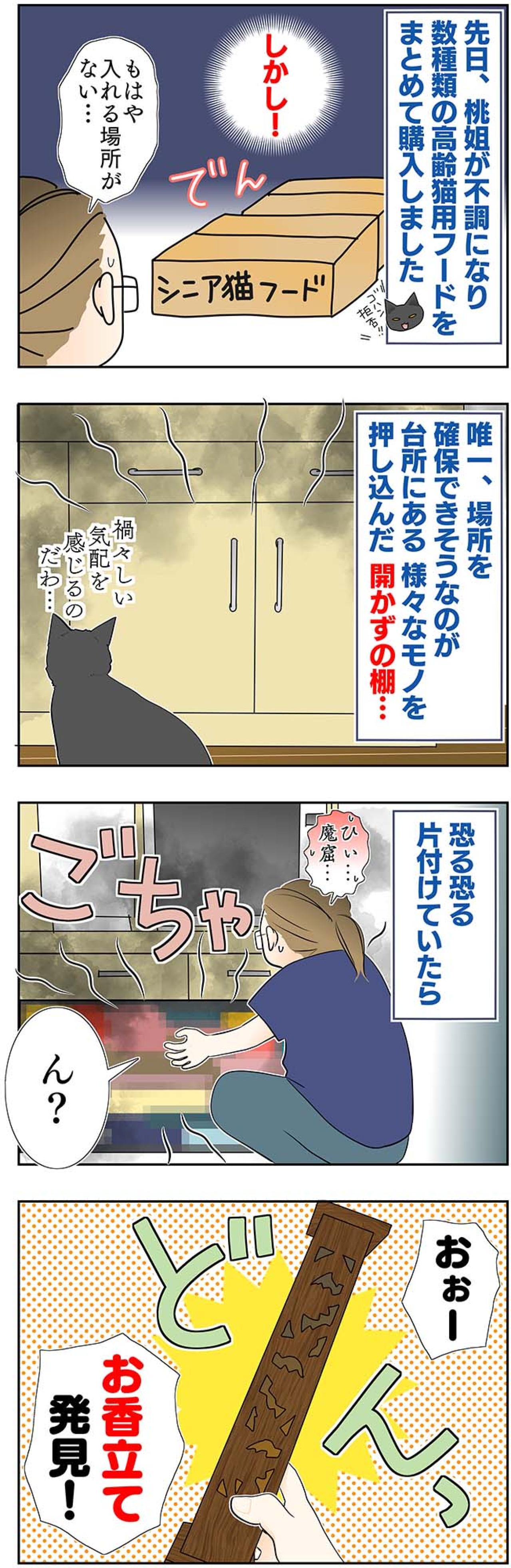 【マンガ・老猫日誌＃45】いつか、という日を考える〜19歳の元保護猫・桃姐（画像2）