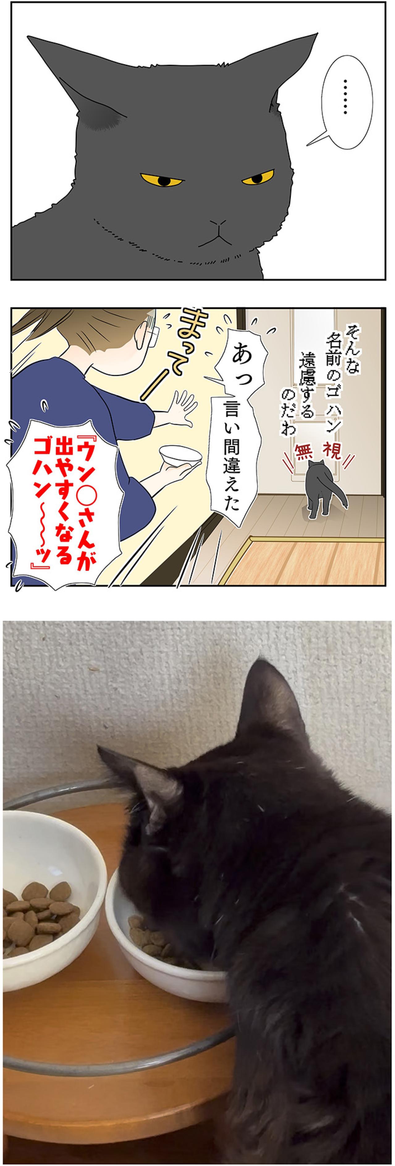 【マンガ・老猫日誌＃41】ゴハンの言い間違えは許さない？19歳の元保護猫・桃姐（画像4）