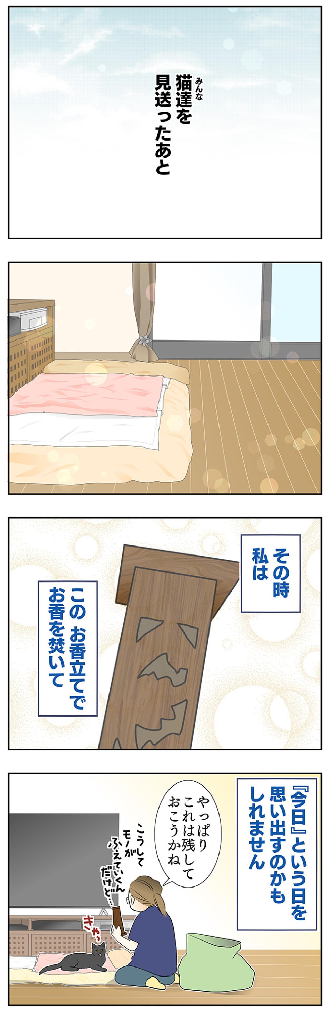 【マンガ・老猫日誌＃45】いつか、という日を考える〜19歳の元保護猫・桃姐（画像5）