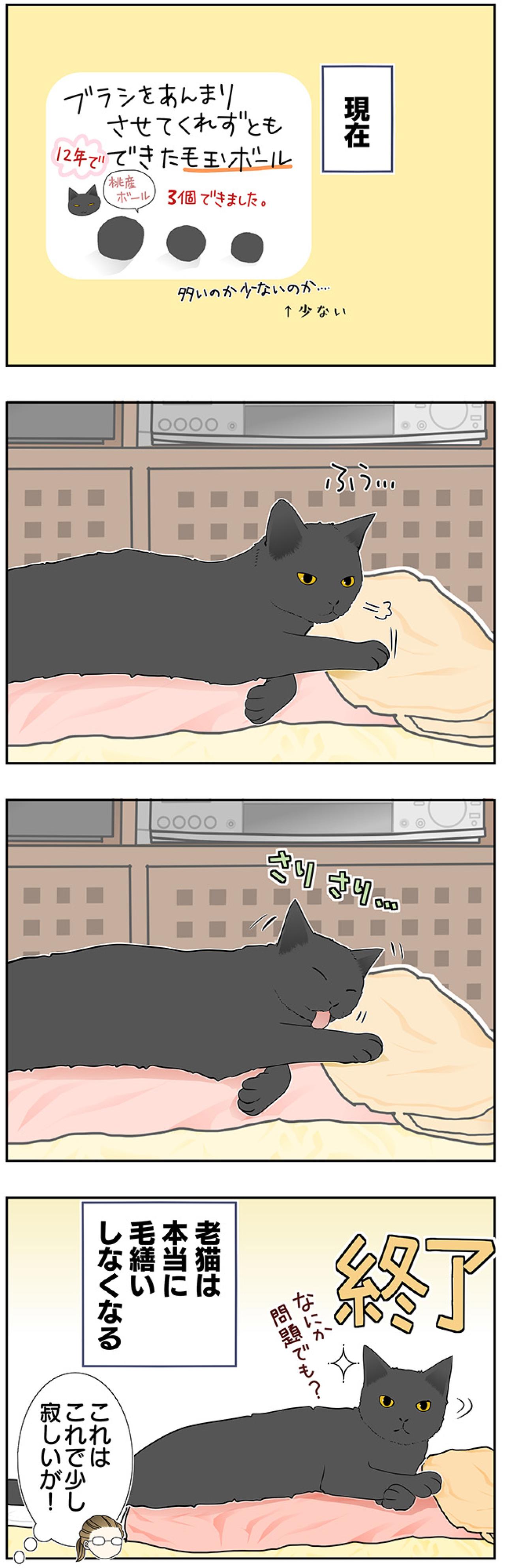 【マンガ・老猫日誌＃42】困ってたことを、しなくなると寂しくなる？19歳の元保護猫・桃姐（画像3）