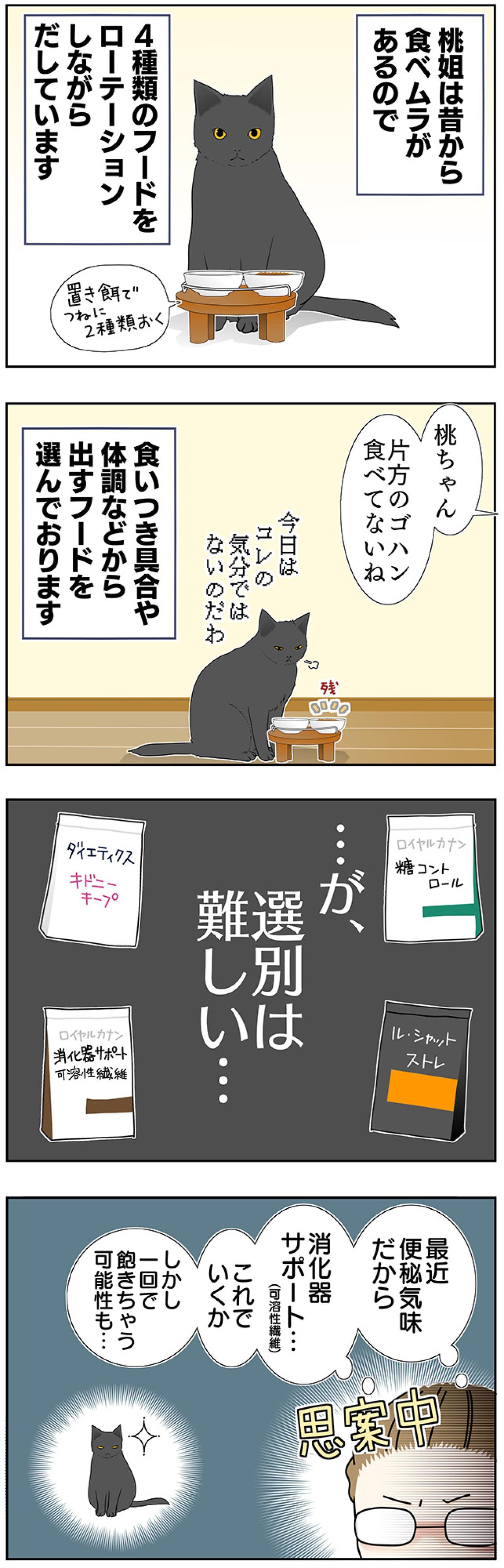 【マンガ・老猫日誌＃41】ゴハンの言い間違えは許さない？19歳の元保護猫・桃姐（画像2）