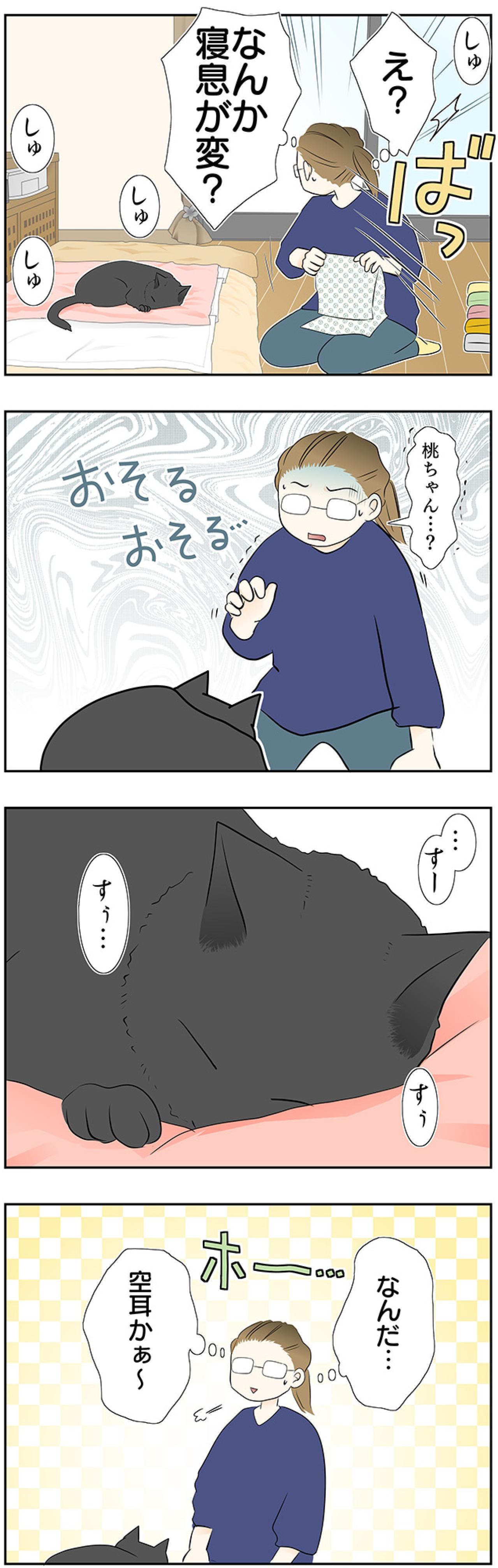 【マンガ・老猫日誌＃38】寝てる時の寝息が まさかのホラー！？19歳の元保護猫・桃姐（画像3）
