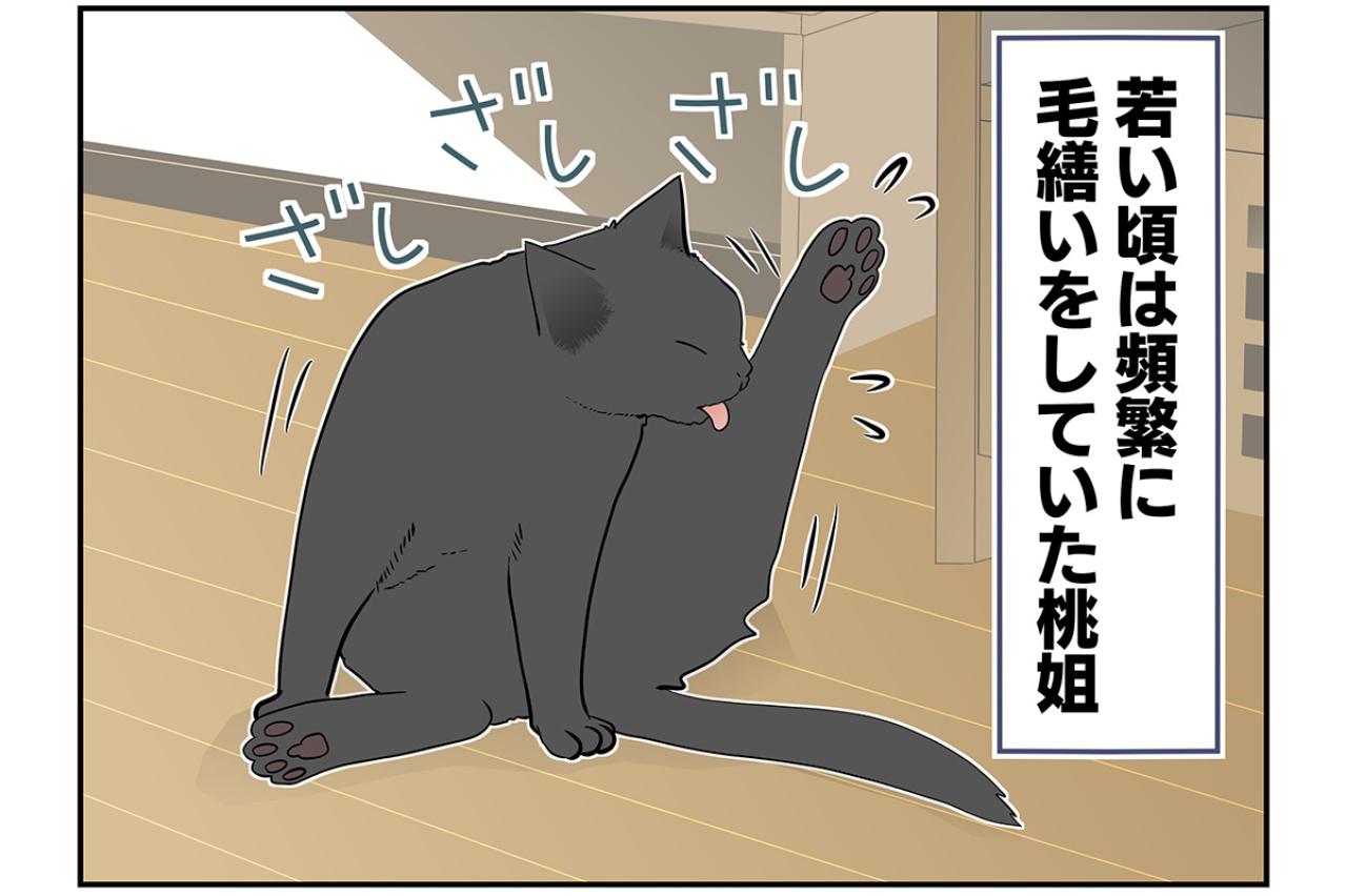 【マンガ・老猫日誌＃42】困ってたことを、しなくなると寂しくなる？19歳の元保護猫・桃姐