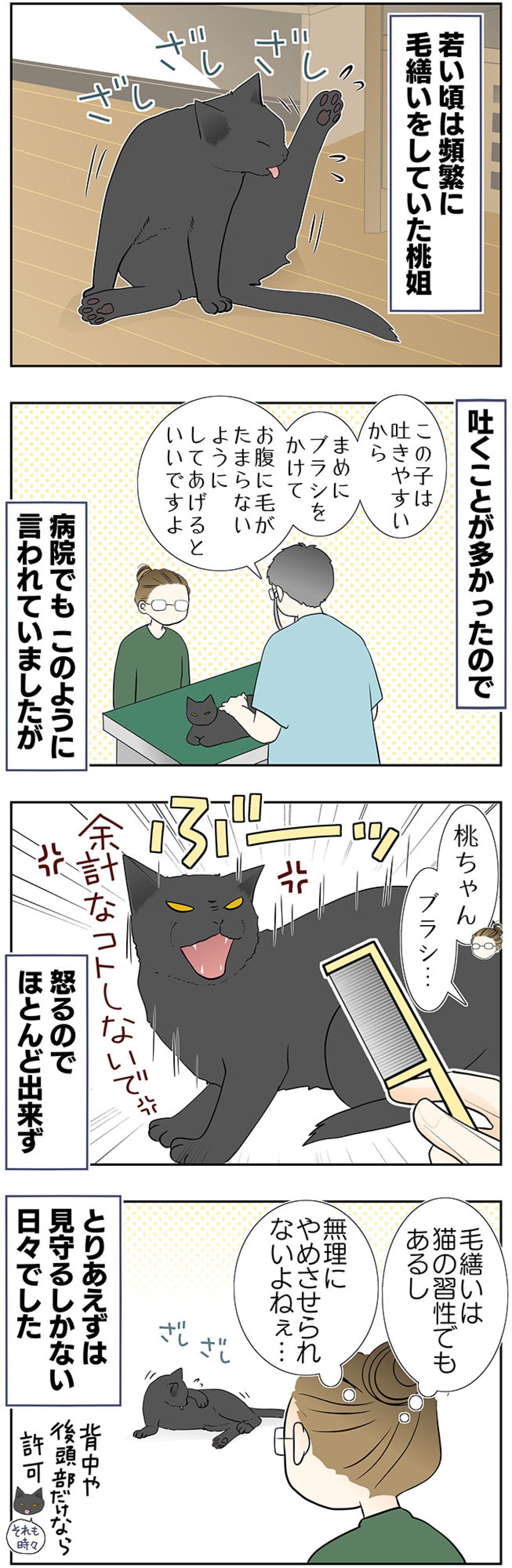 【マンガ・老猫日誌＃42】困ってたことを、しなくなると寂しくなる？19歳の元保護猫・桃姐（画像2）