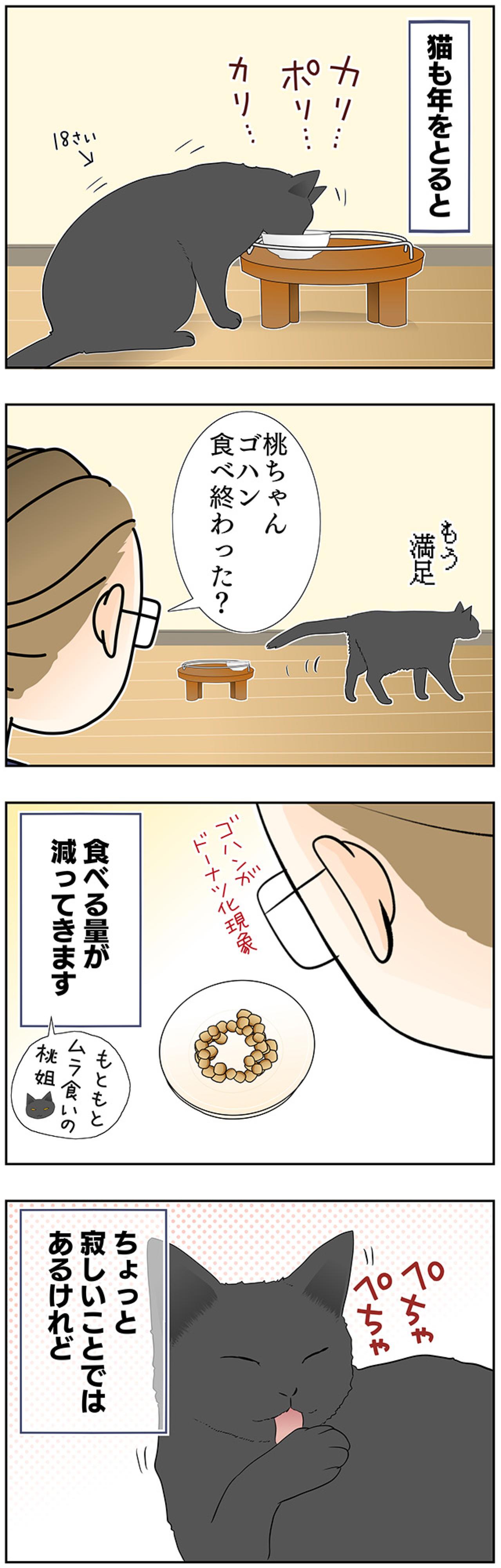 【マンガ・老猫日誌＃43】老猫の奇跡？な出来事〜19歳の元保護猫・桃姐（画像2）