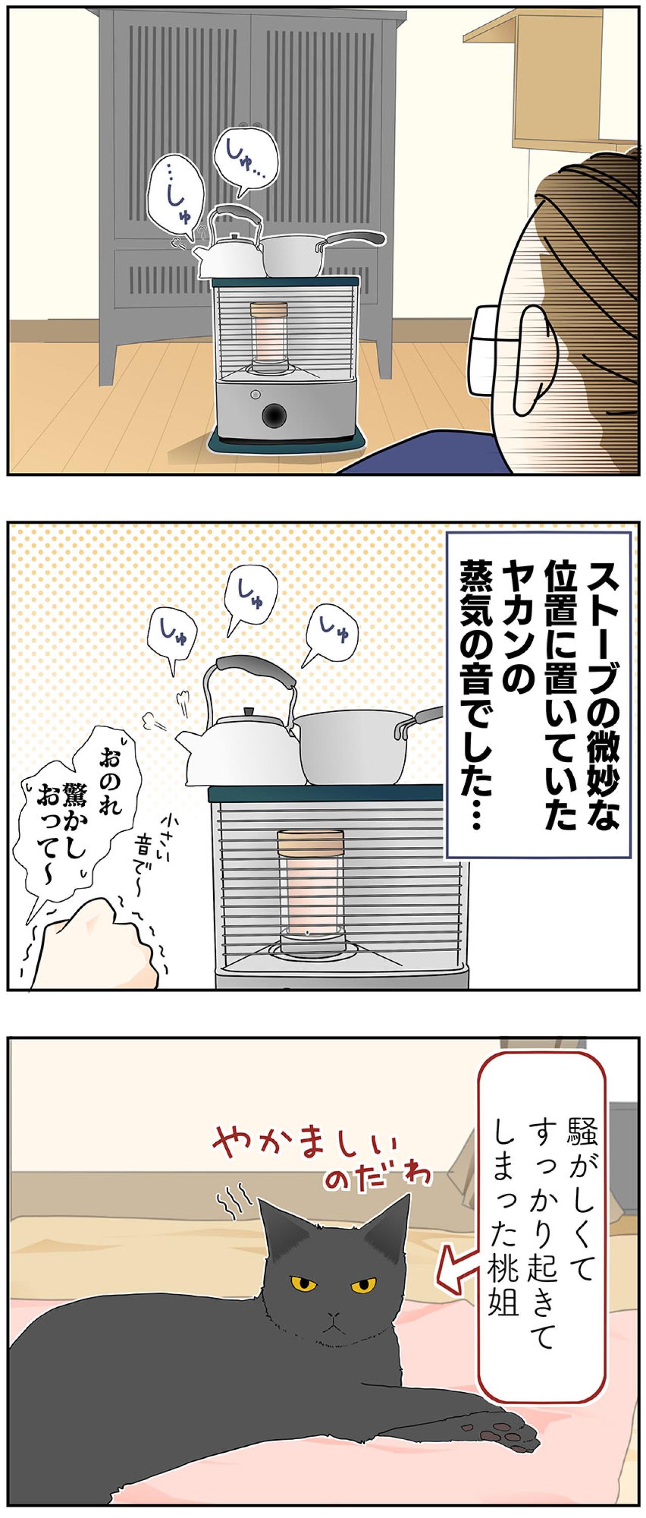 【マンガ・老猫日誌＃38】寝てる時の寝息が まさかのホラー！？19歳の元保護猫・桃姐（画像5）