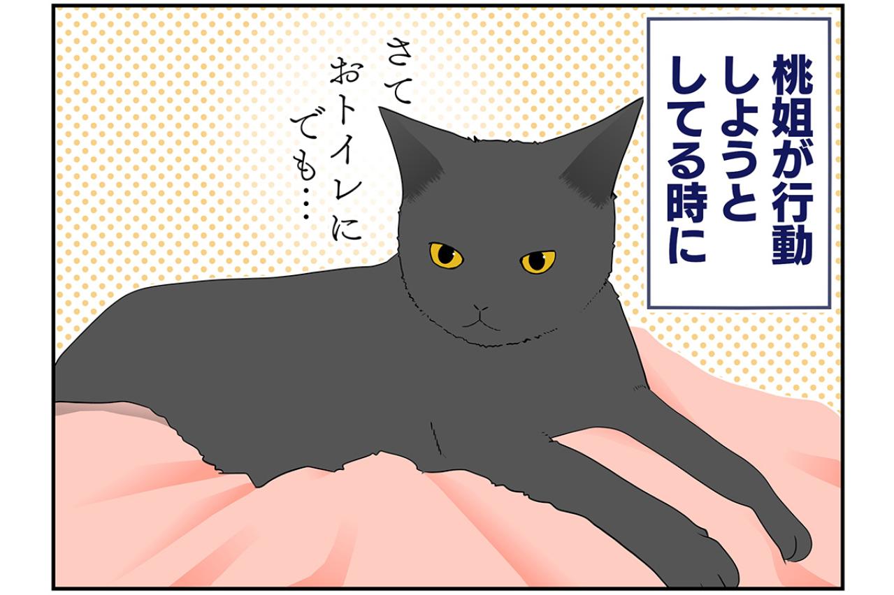 【マンガ・老猫日誌＃44】老猫が行動する時の心得！？19歳の元保護猫・桃姐