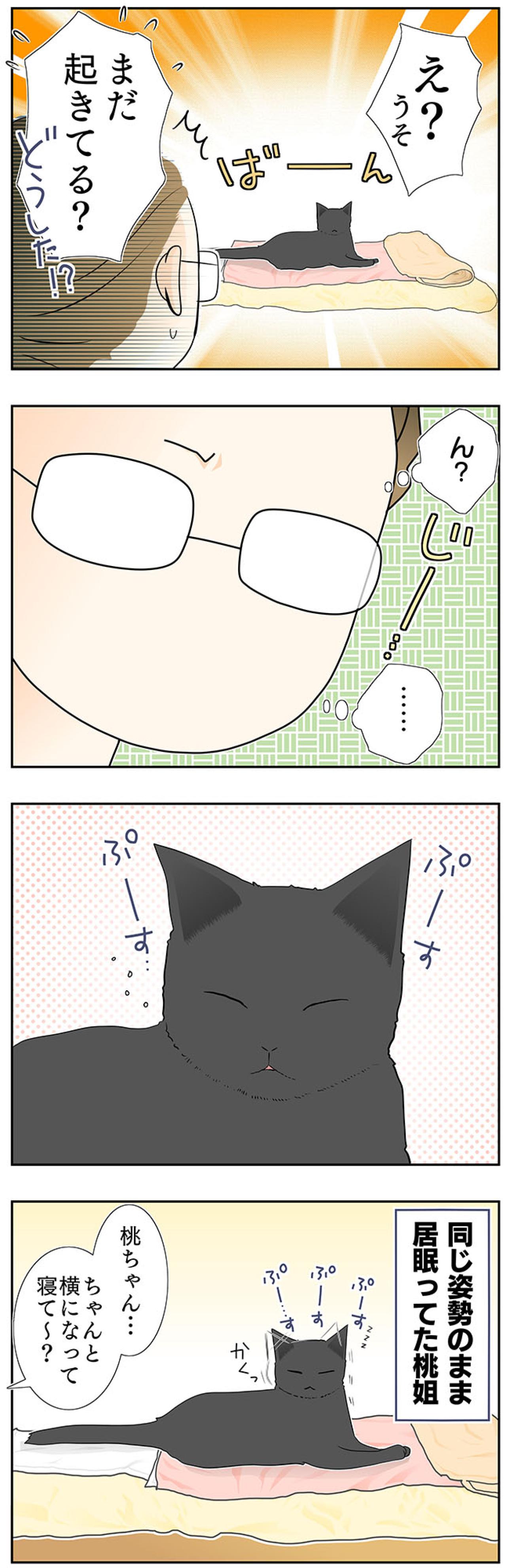 【マンガ・老猫日誌＃37】同じ姿勢を保つ老猫？ 19歳の元保護猫・桃姐（画像3）