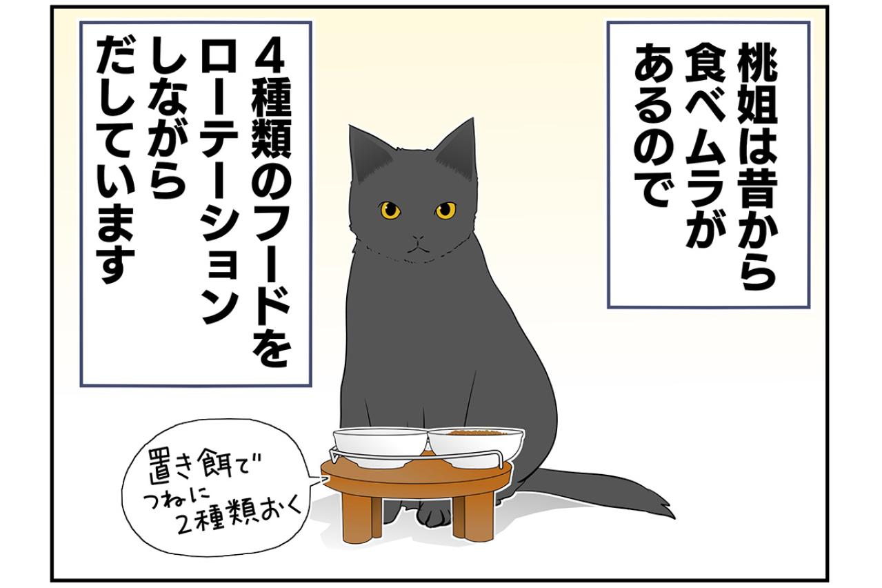 【マンガ・老猫日誌＃41】ゴハンの言い間違えは許さない？19歳の元保護猫・桃姐