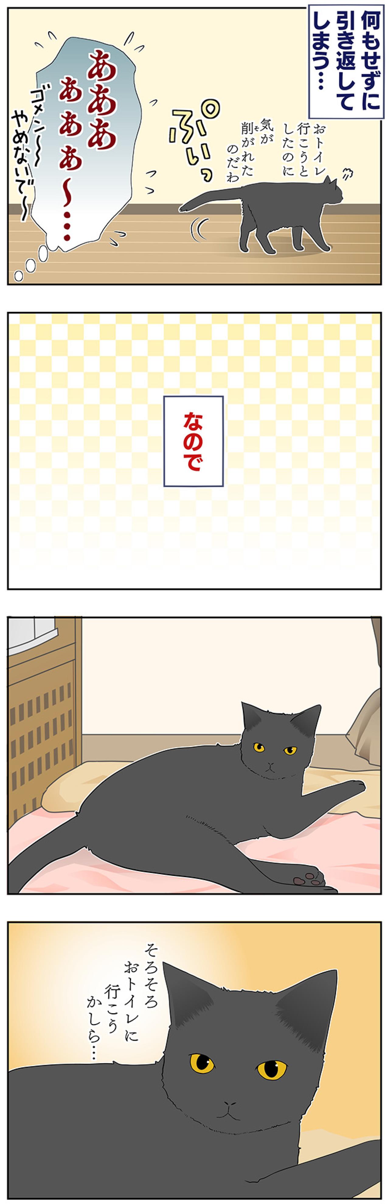 【マンガ・老猫日誌＃44】老猫が行動する時の心得！？19歳の元保護猫・桃姐（画像3）