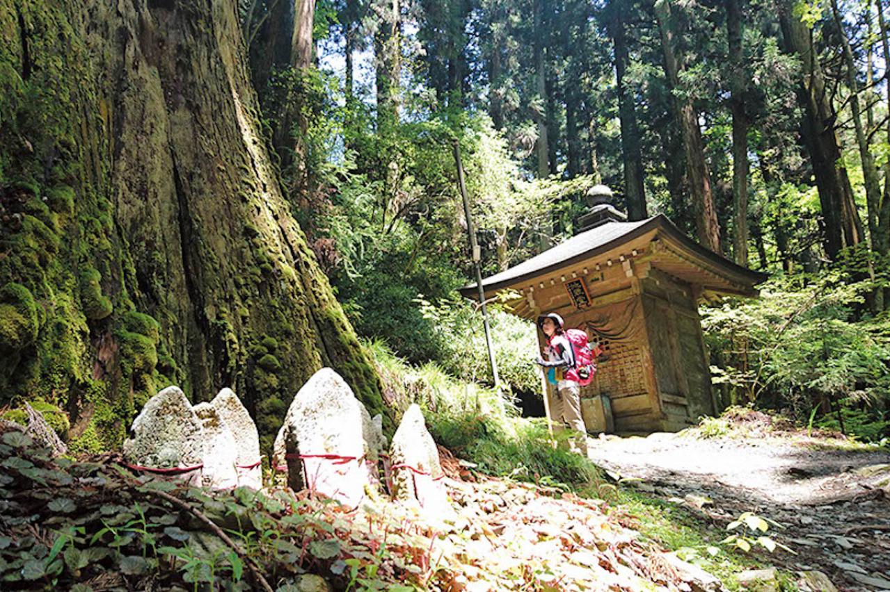 驚きの800km！【黛まどかさん】が語る「歩く旅」。サンティアゴ巡礼や四国遍路から得た人生の気づきとは？（画像8）