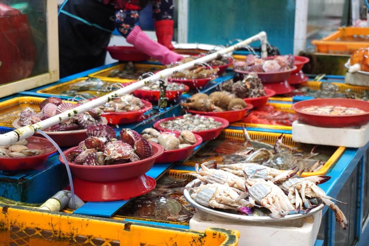 50代からの韓国旅。懐かしい市場と“東洋のナポリ”統営へ—映画『最後のピクニック』の舞台・南海も散歩（画像9）