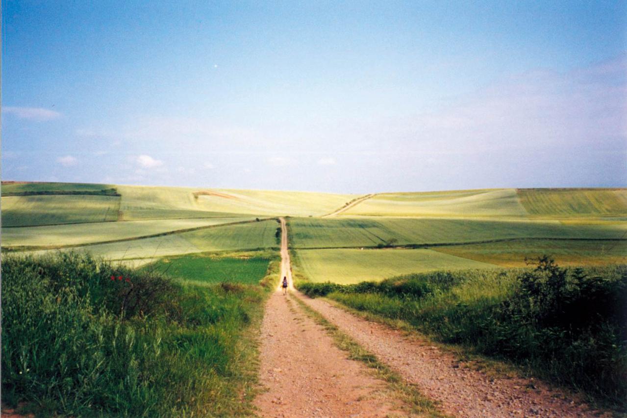 驚きの800km！【黛まどかさん】が語る「歩く旅」。サンティアゴ巡礼や四国遍路から得た人生の気づきとは？（画像4）