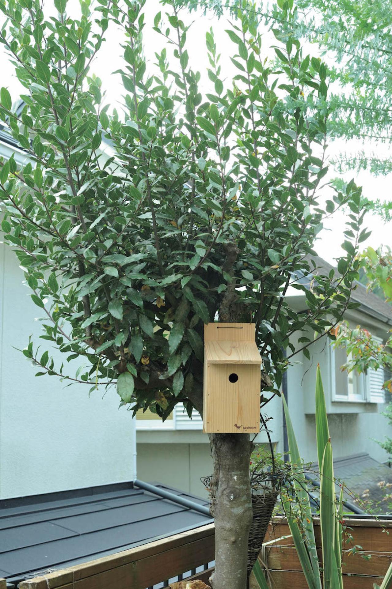 庭の小さな実で愛らしさ満点！【秋の実もの】を使ったアレンジアイディア（画像8）