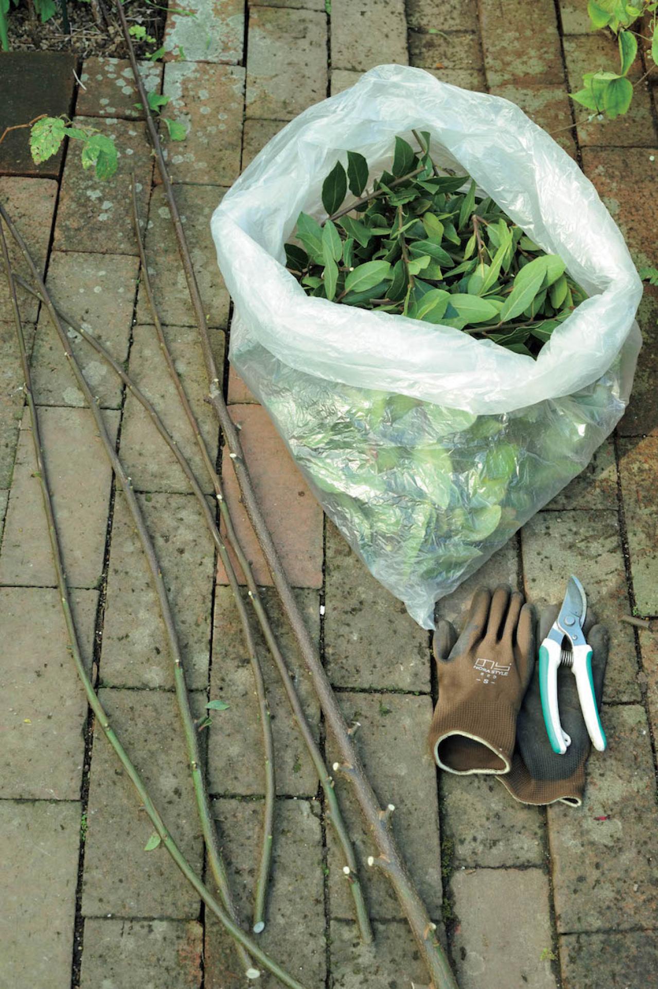 庭の小さな実で愛らしさ満点！【秋の実もの】を使ったアレンジアイディア（画像11）