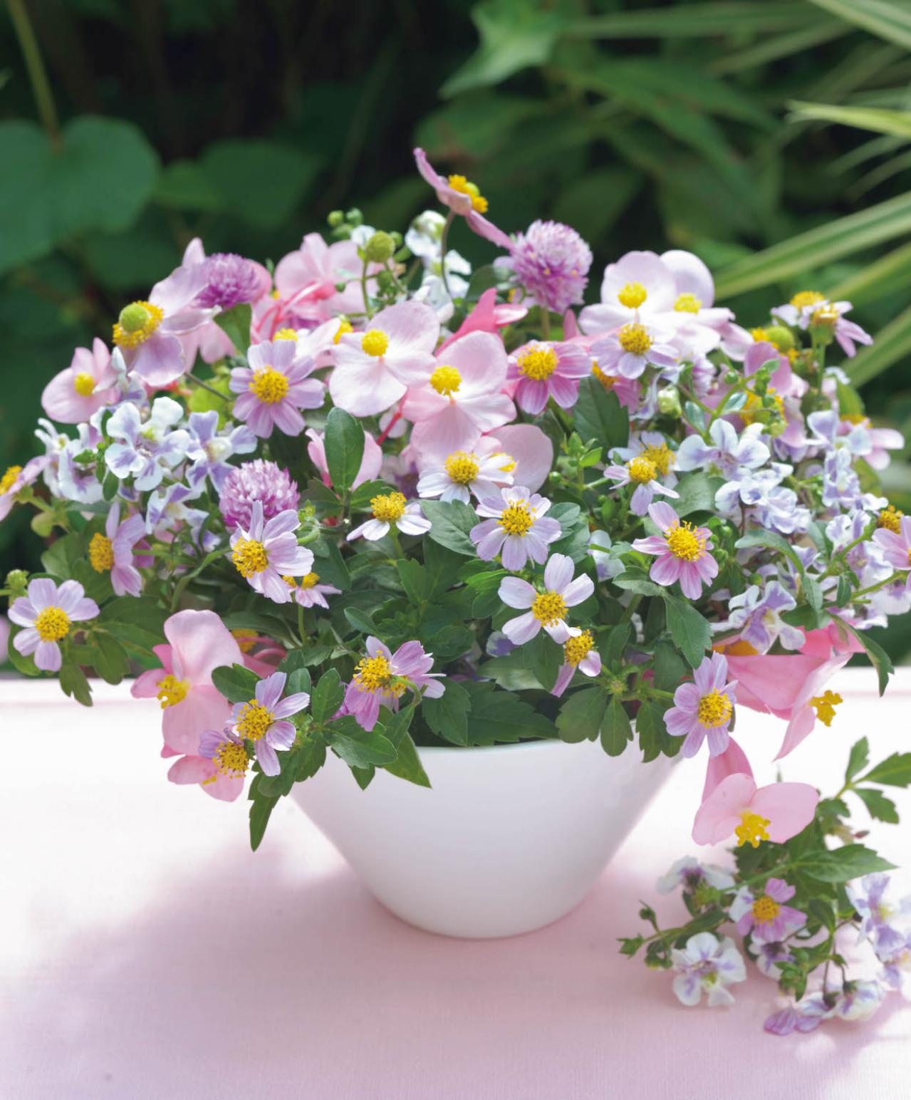 夏の残りの花と秋の花で作る「初秋のアレンジアイディア」【アフターガーデニング】（画像6）