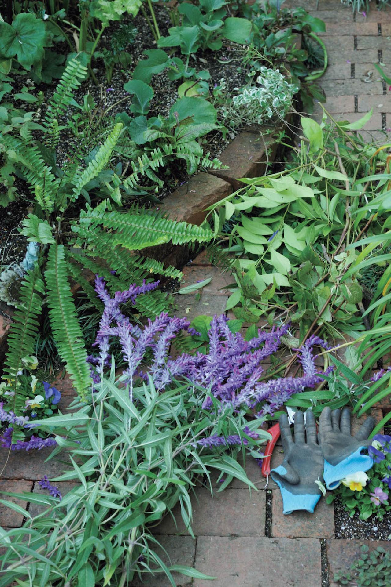 夏の残りの花と秋の花で作る「初秋のアレンジアイディア」【アフターガーデニング】（画像12）