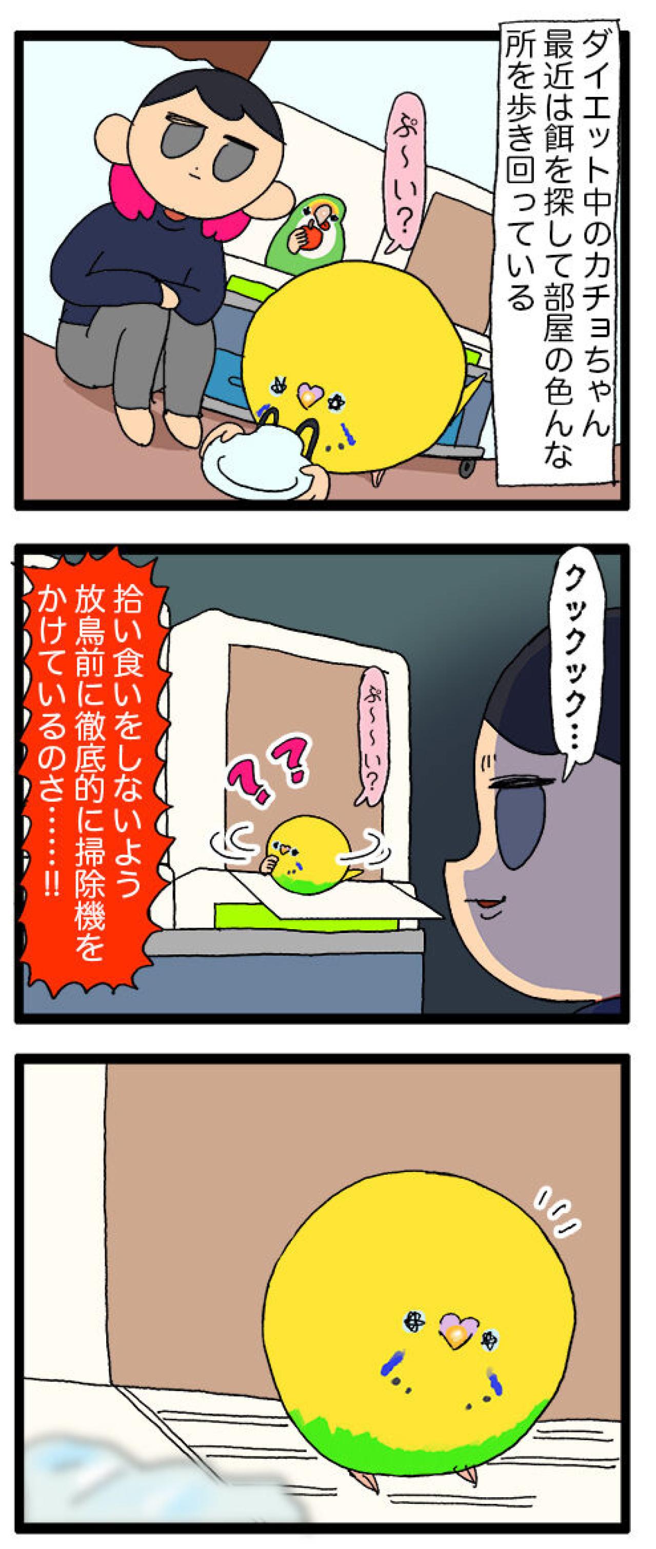 ダイエット中なのに食欲全開！セキセイインコ女子カチョの受難【鳥マンガ #139】（画像4）