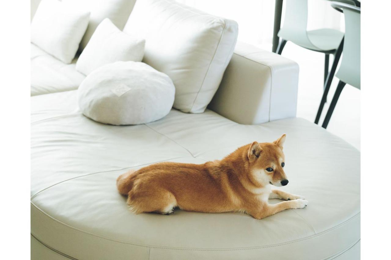 家も心もリセット！スタイリスト小山田早織さんが“新月の日”に家族と決まってすることは？