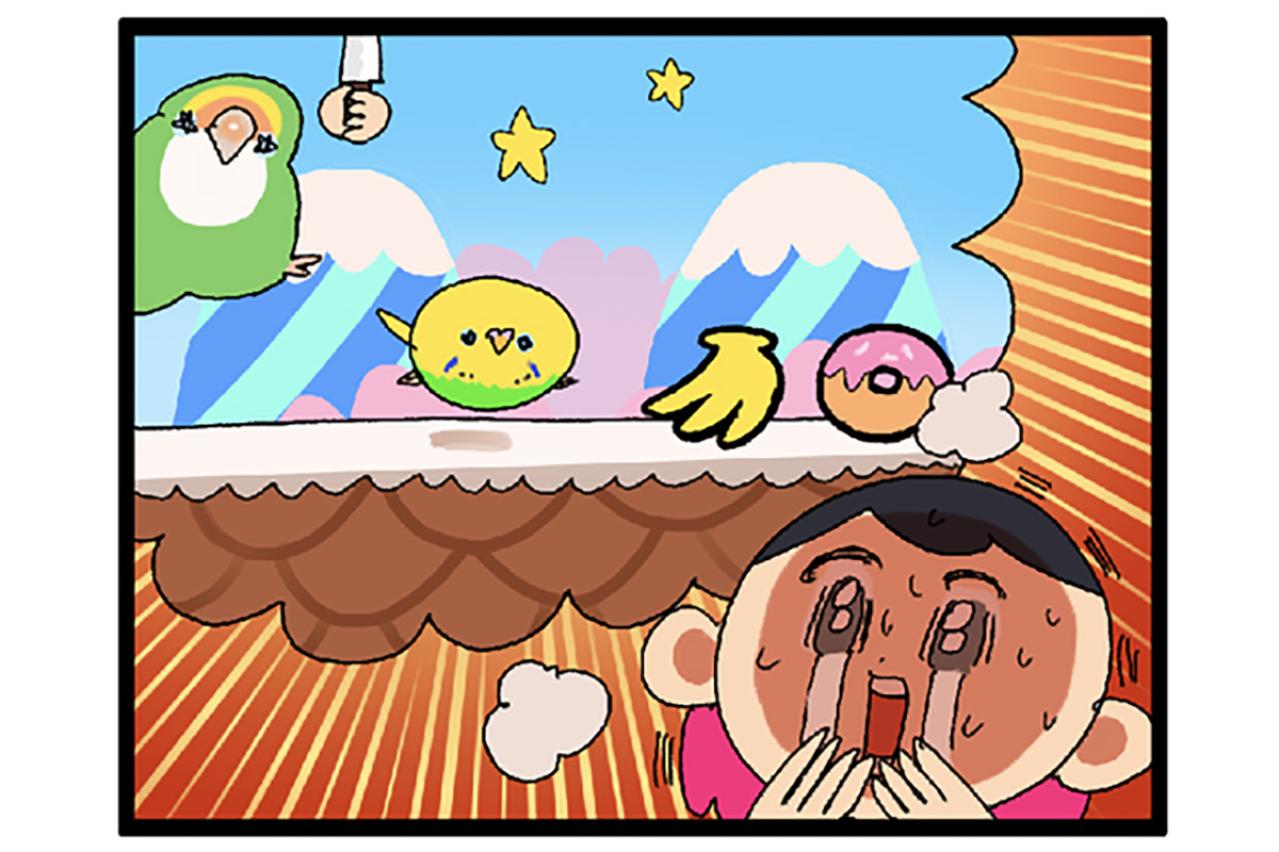 食欲魔神と無抵抗のはざまで—セキセイインコ・カチョの日常【鳥マンガ #140】