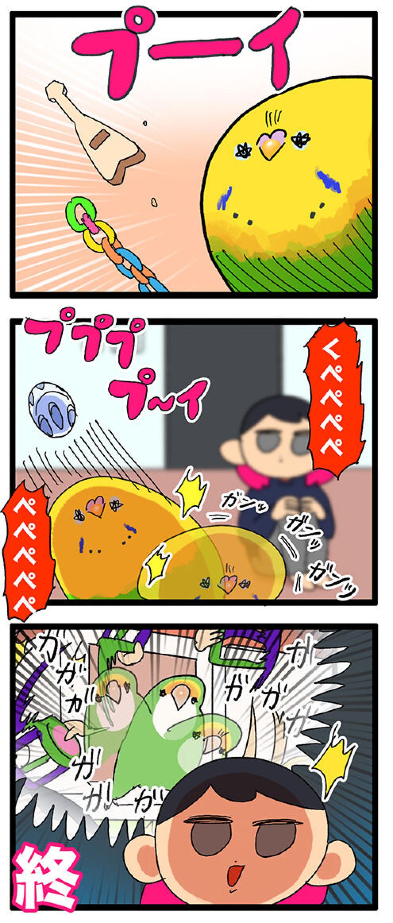 ダイエット中なのに食欲全開！セキセイインコ女子カチョの受難【鳥マンガ #139】（画像7）
