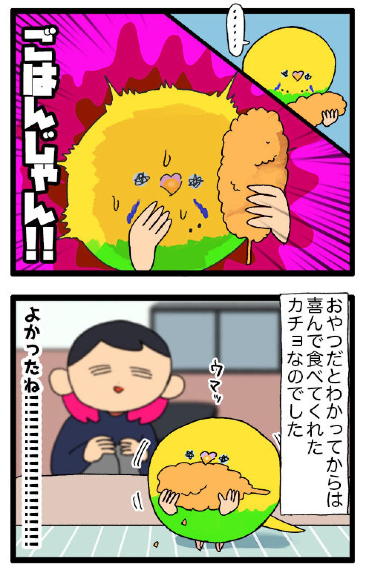 おやつを捨て、毛がゴワゴワ。少し心配になったカチョの一日【鳥マンガ #143】（画像5）