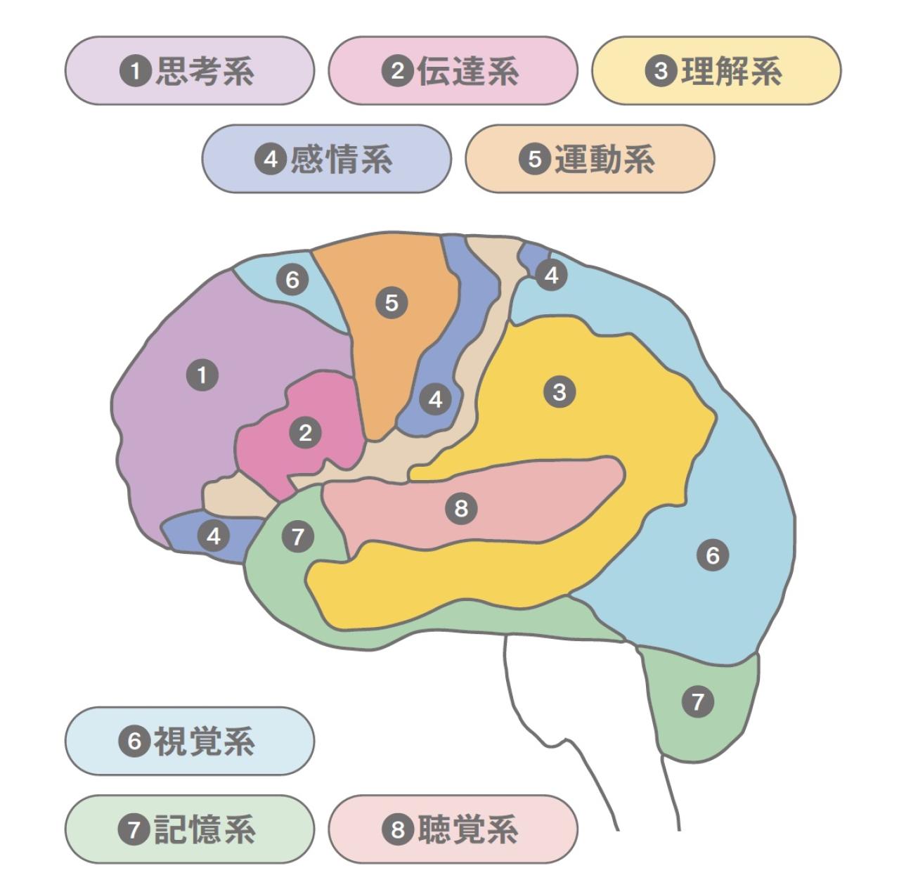 医師が語る【運動負債】の恐ろしい影響。「風邪で寝込んだだけで認知機能が落ちる」改善のカギは【ウォーキング】！？（画像3）