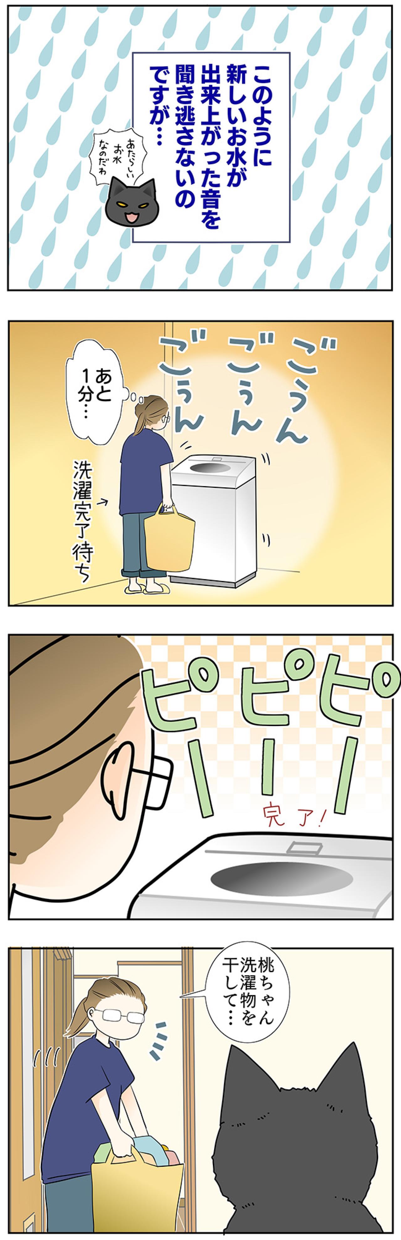 【マンガ・老猫日誌＃47】新しい水は音で見分ける？〜19歳の元保護猫・桃姐（画像3）