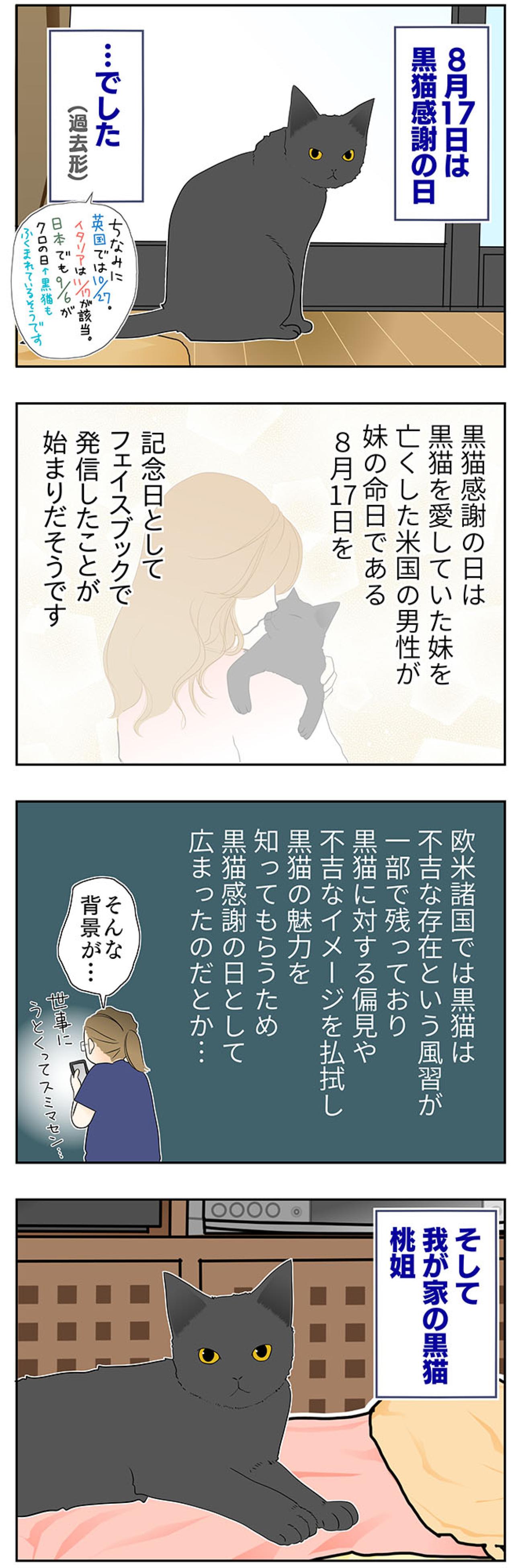 【マンガ・老猫日誌＃53】すべての始まりになった老猫に感謝する日〜19歳の元保護猫・桃姐（画像2）