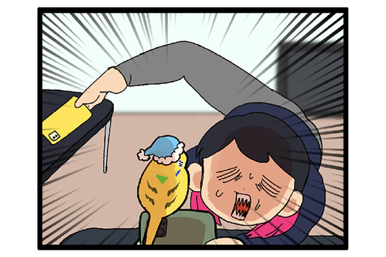 シャッターチャンス逃しがちな飼い主あるある！？＆インコぷぷぷの秘密【鳥マンガ #149】