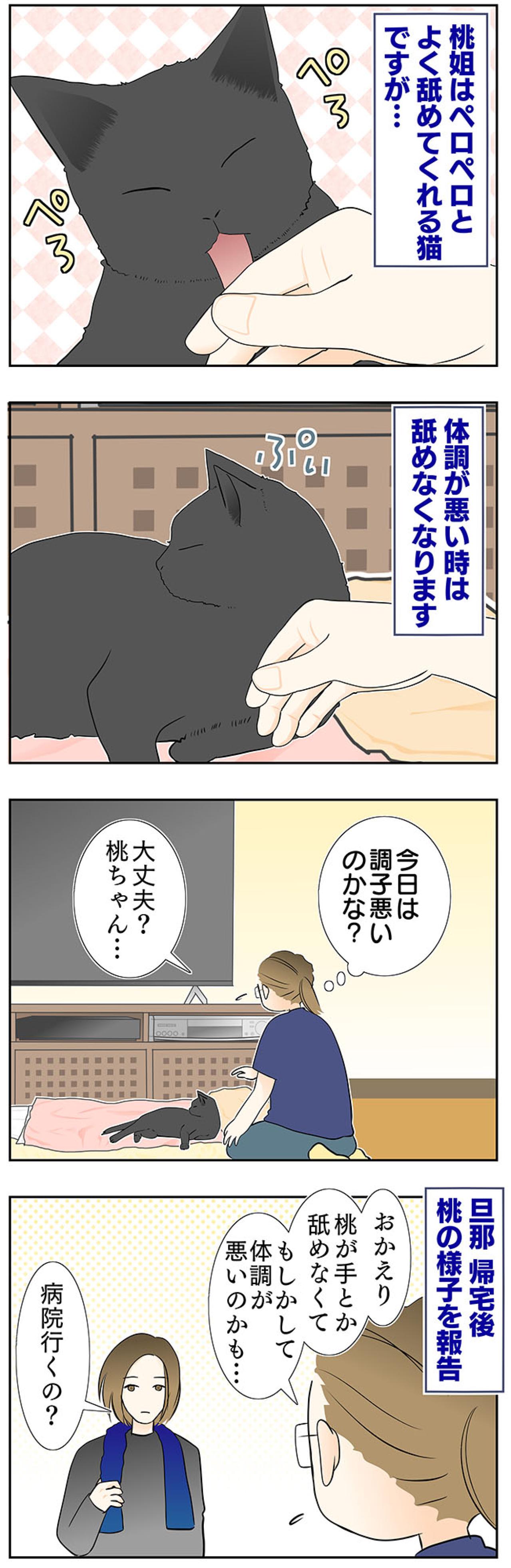 【マンガ・老猫日誌＃55】桃姐から嫌われちゃった！？〜19歳の元保護猫・桃姐（画像2）