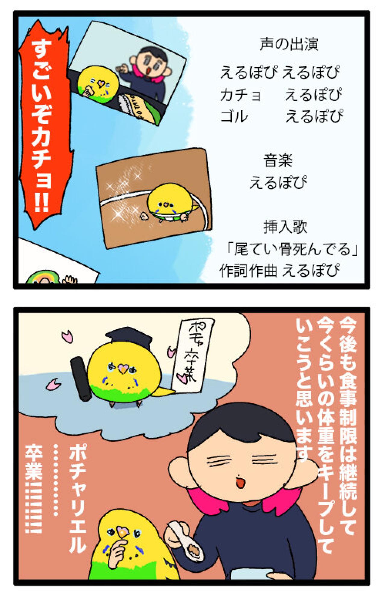 セキセイインコのカチョ、目覚める！体格も瞳も大変身の2話【鳥マンガ #144】（画像4）