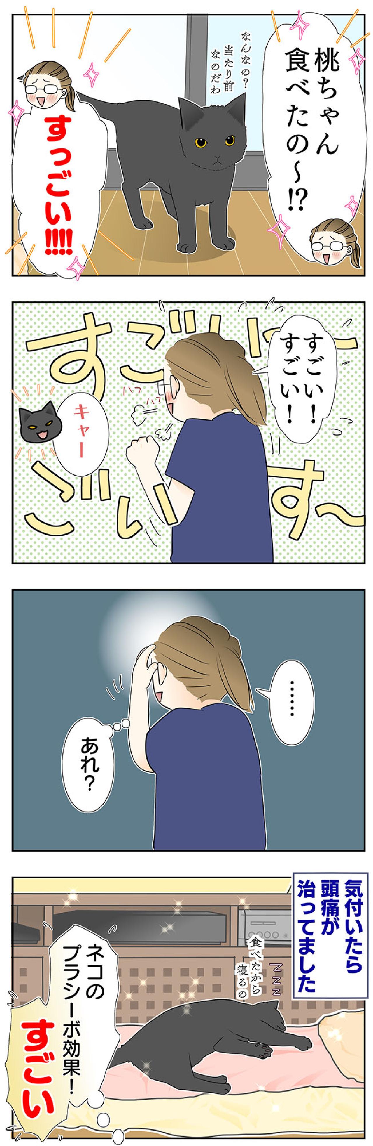 【マンガ・老猫日誌＃51】猫のプラシーボ効果！？〜19歳の元保護猫・桃姐（画像4）