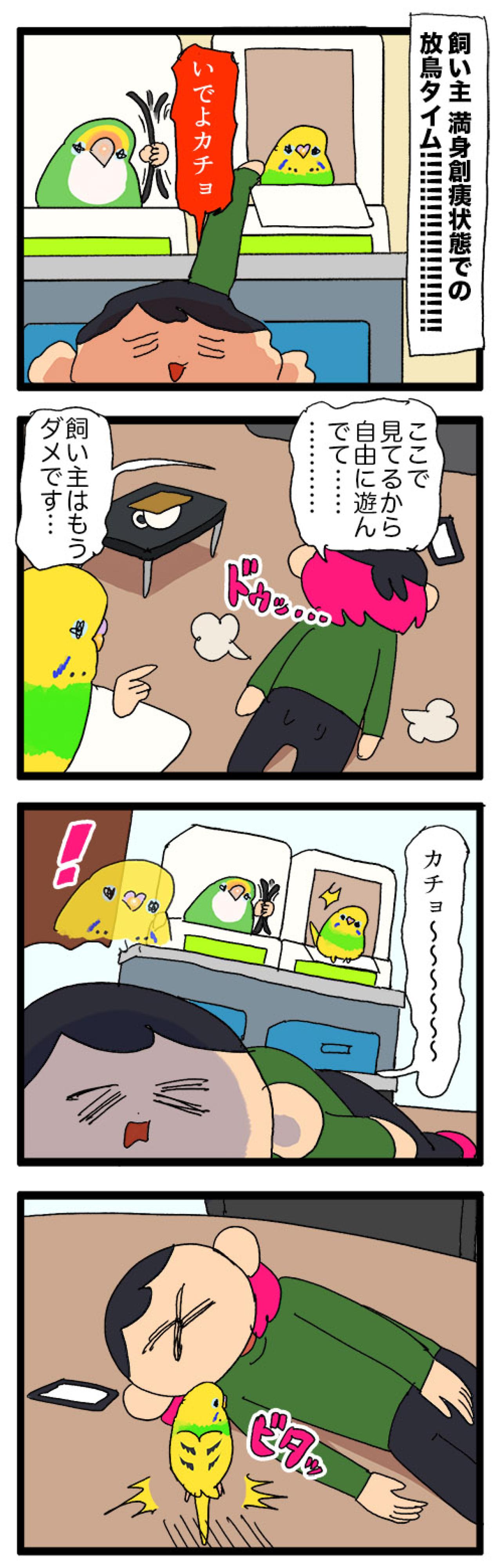 守護と破壊 ― セキセイインコ・カチョの愛情フルスロットル！【鳥マンガ #145】（画像4）