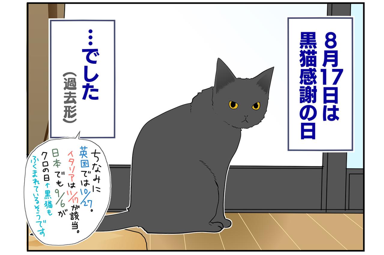 【マンガ・老猫日誌＃53】すべての始まりになった老猫に感謝する日〜19歳の元保護猫・桃姐