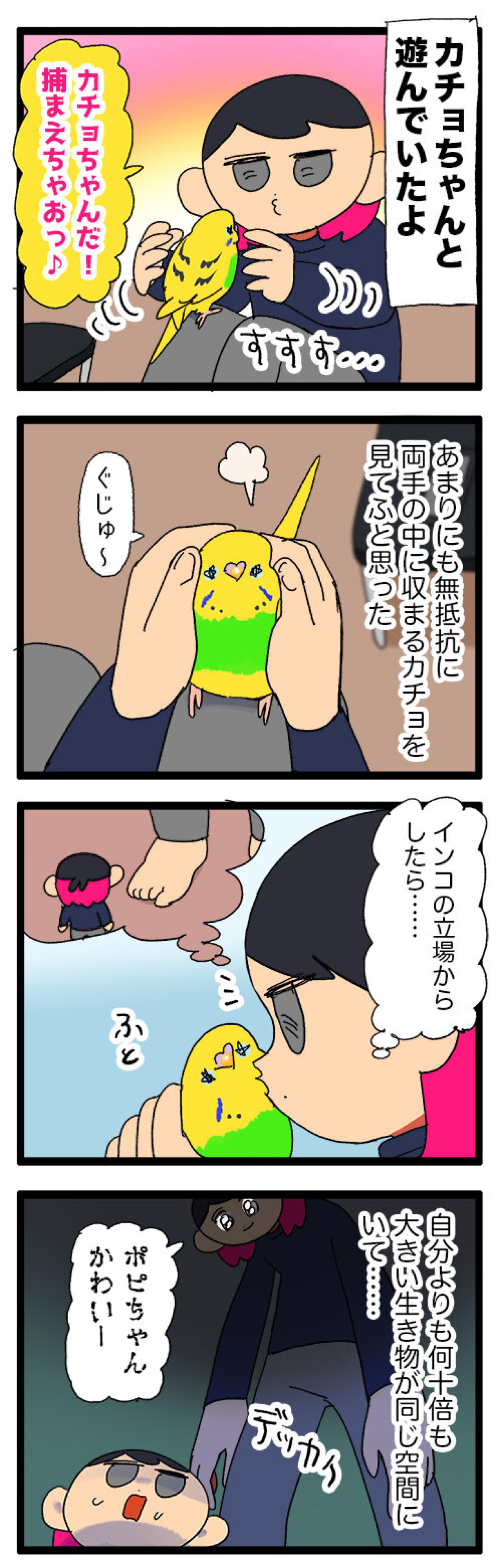 破壊からキュンへ ― セキセイインコ・カチョリエルの二面劇【鳥マンガ #150】（画像5）