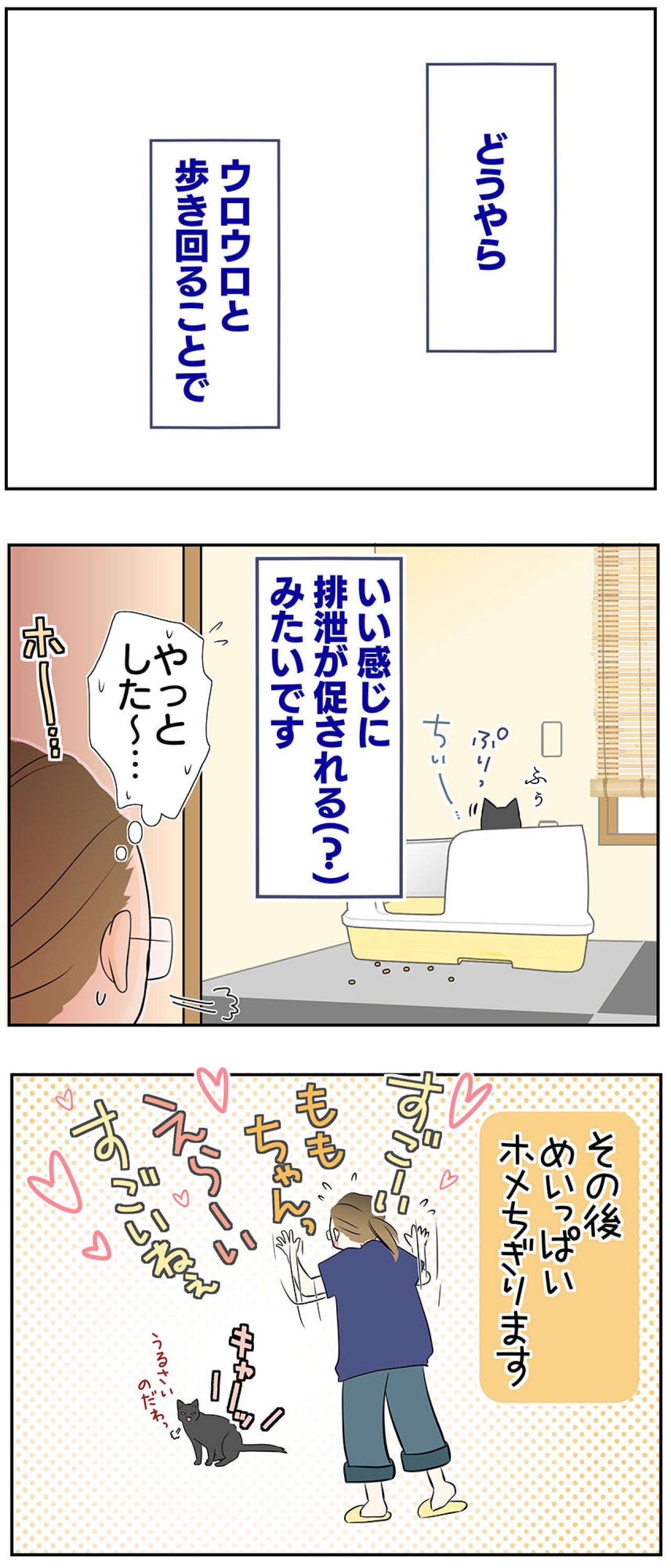 【マンガ・老猫日誌＃46】トイレの前にウロウロする理由は？〜19歳の元保護猫・桃姐（画像5）