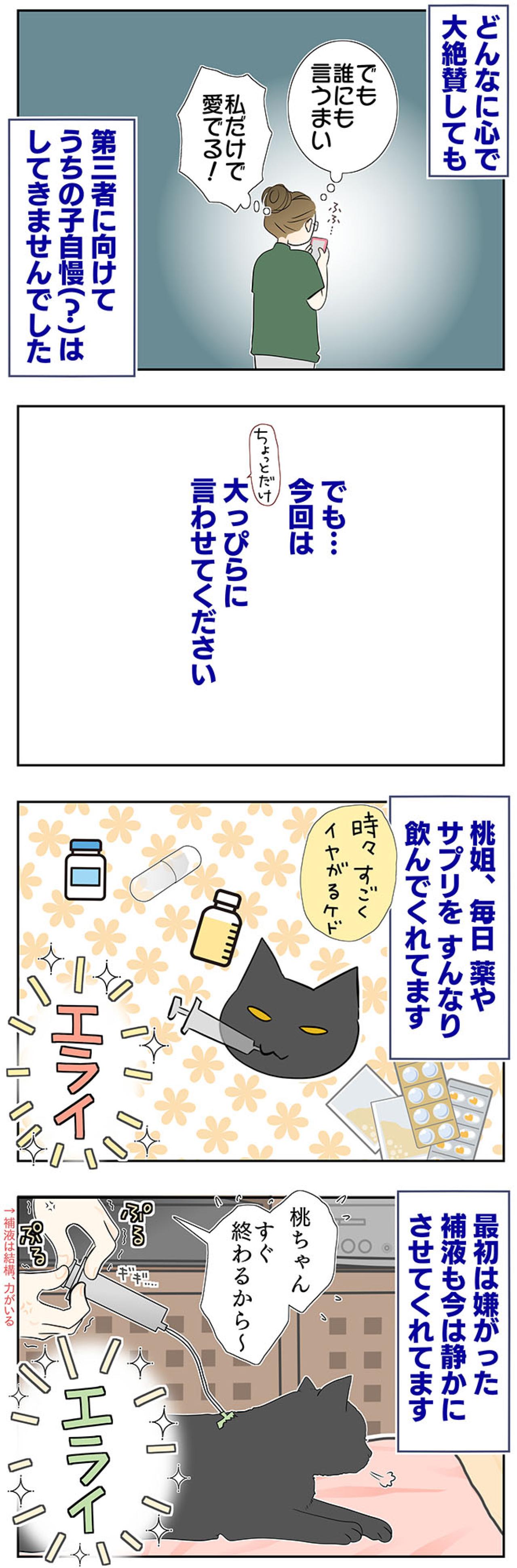 【マンガ・老猫日誌＃50】（祝）19歳になりました〜19歳の元保護猫・桃姐（画像3）