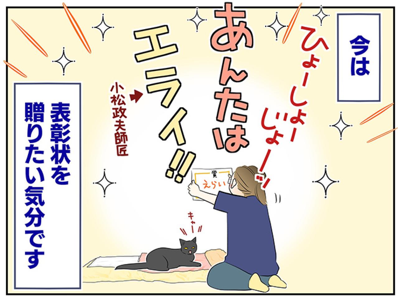 【マンガ・老猫日誌＃50】（祝）19歳になりました〜19歳の元保護猫・桃姐（画像5）