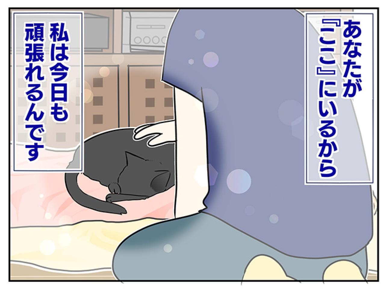 【マンガ・老猫日誌＃48】あなたが『ここ』にいるから頑張れる〜19歳の元保護猫・桃姐（画像6）