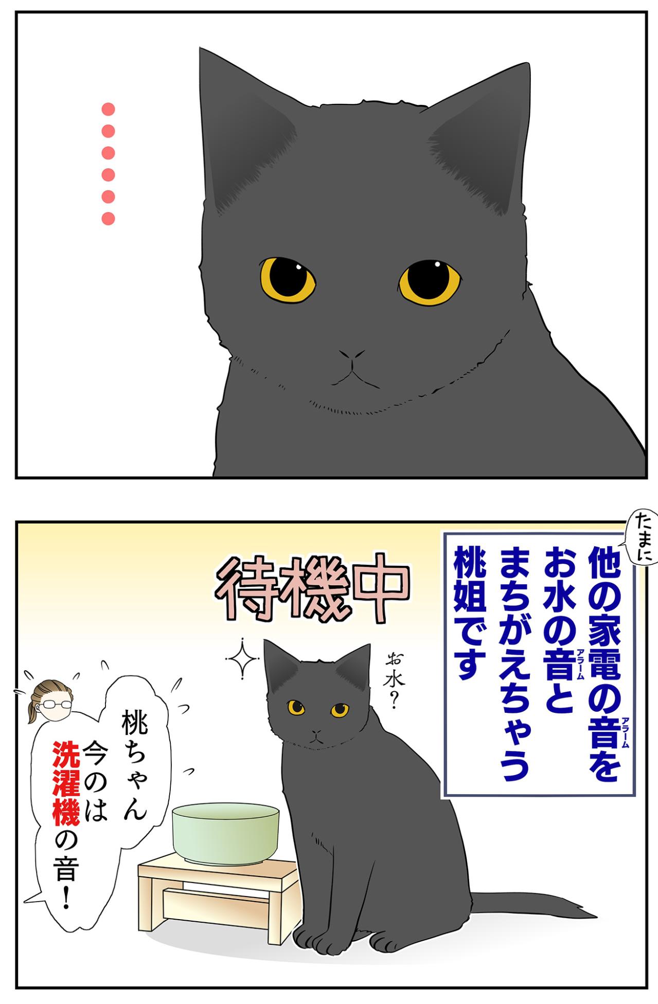 【マンガ・老猫日誌＃47】新しい水は音で見分ける？〜19歳の元保護猫・桃姐（画像4）