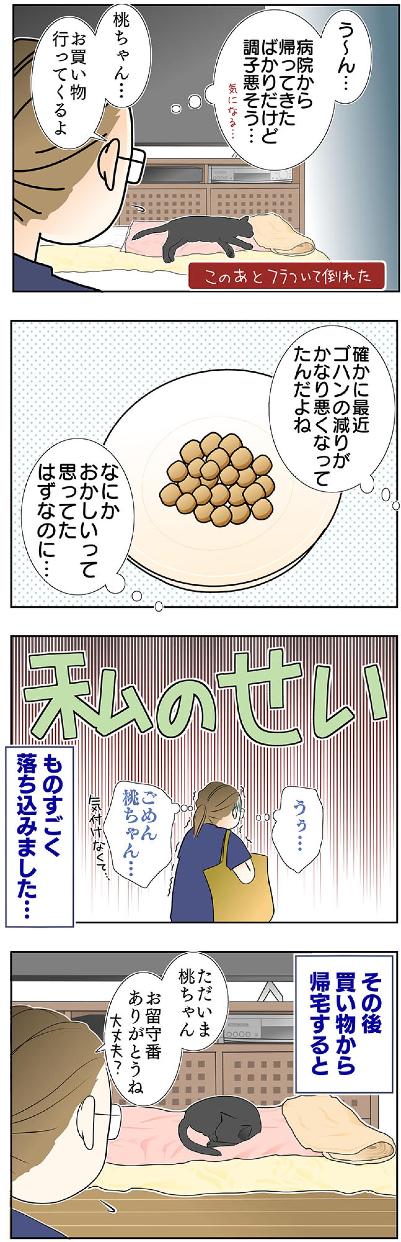 【マンガ・老猫日誌＃48】あなたが『ここ』にいるから頑張れる〜19歳の元保護猫・桃姐（画像3）