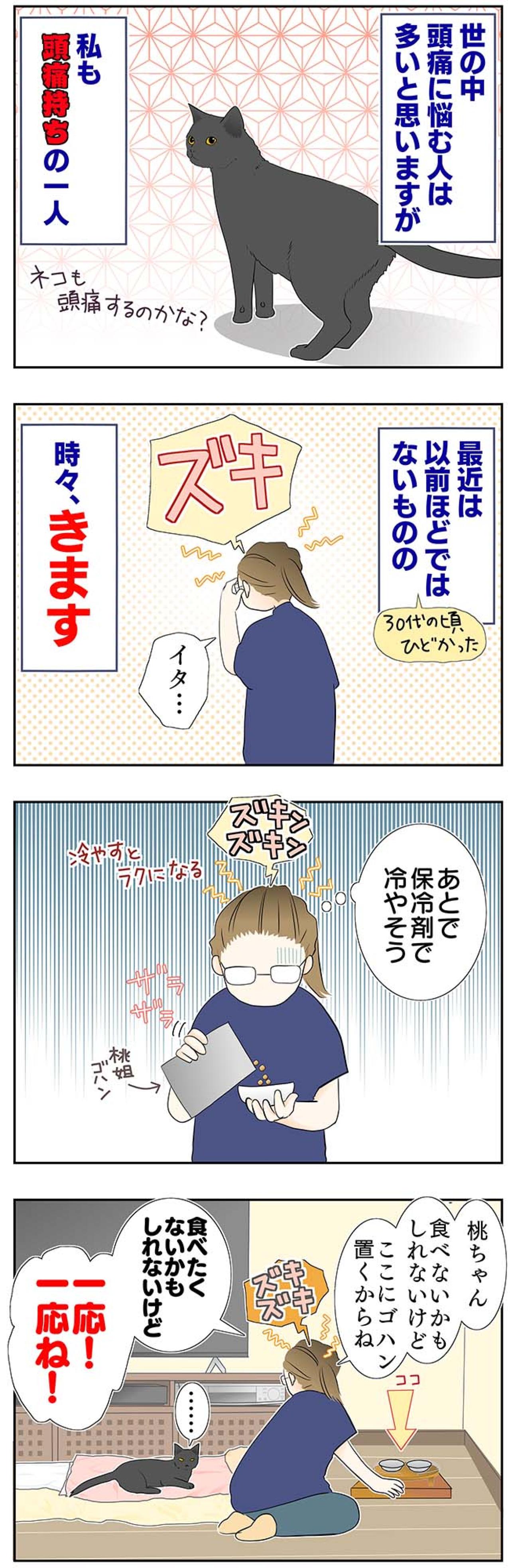 【マンガ・老猫日誌＃51】猫のプラシーボ効果！？〜19歳の元保護猫・桃姐（画像2）