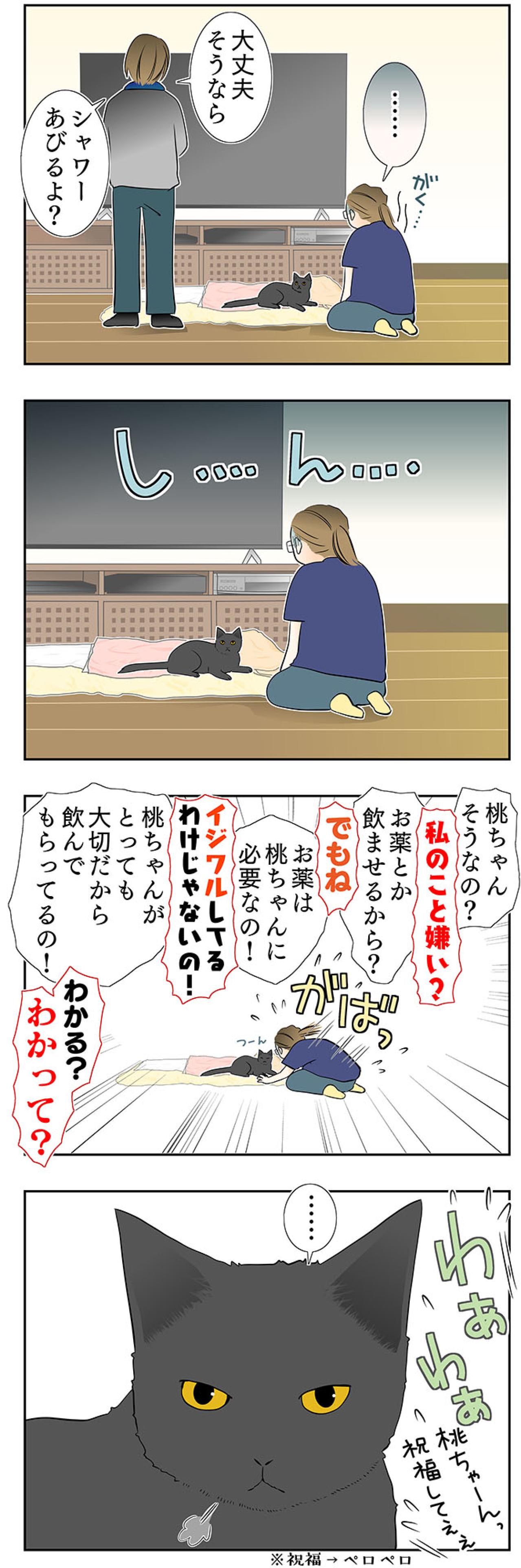 【マンガ・老猫日誌＃55】桃姐から嫌われちゃった！？〜19歳の元保護猫・桃姐（画像4）