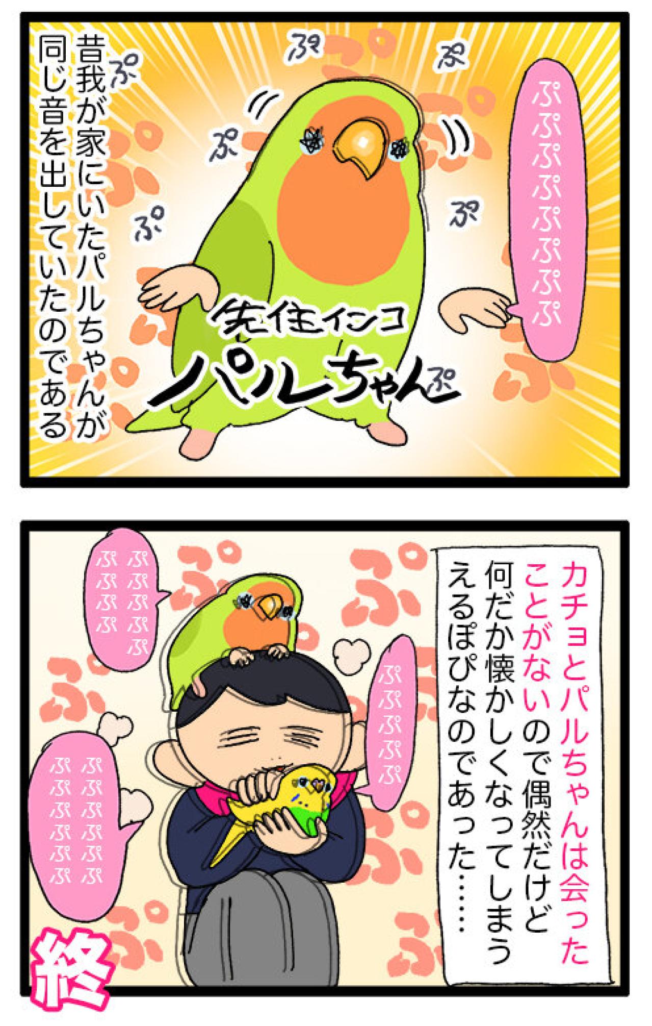 シャッターチャンス逃しがちな飼い主あるある！？＆インコぷぷぷの秘密【鳥マンガ #149】（画像7）
