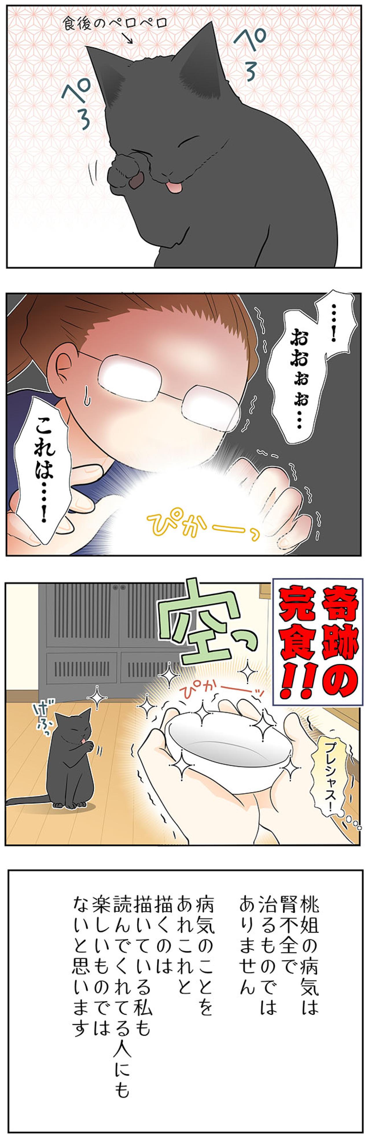 【マンガ・老猫日誌＃49】再びの奇跡？〜19歳の元保護猫・桃姐（画像4）