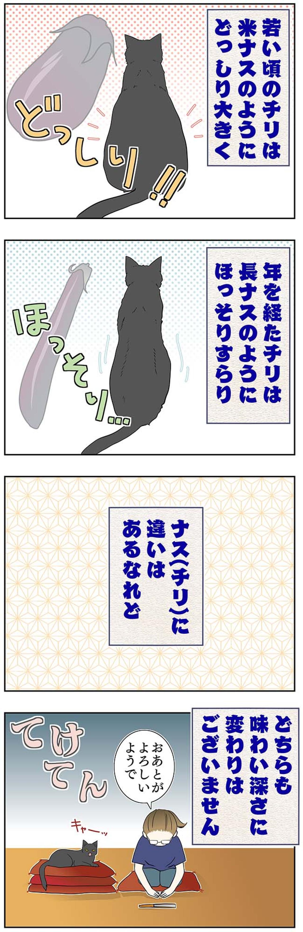 【マンガ・老猫日誌＃54】老猫とナスの謎かけ？〜19歳の元保護猫・桃姐（画像3）