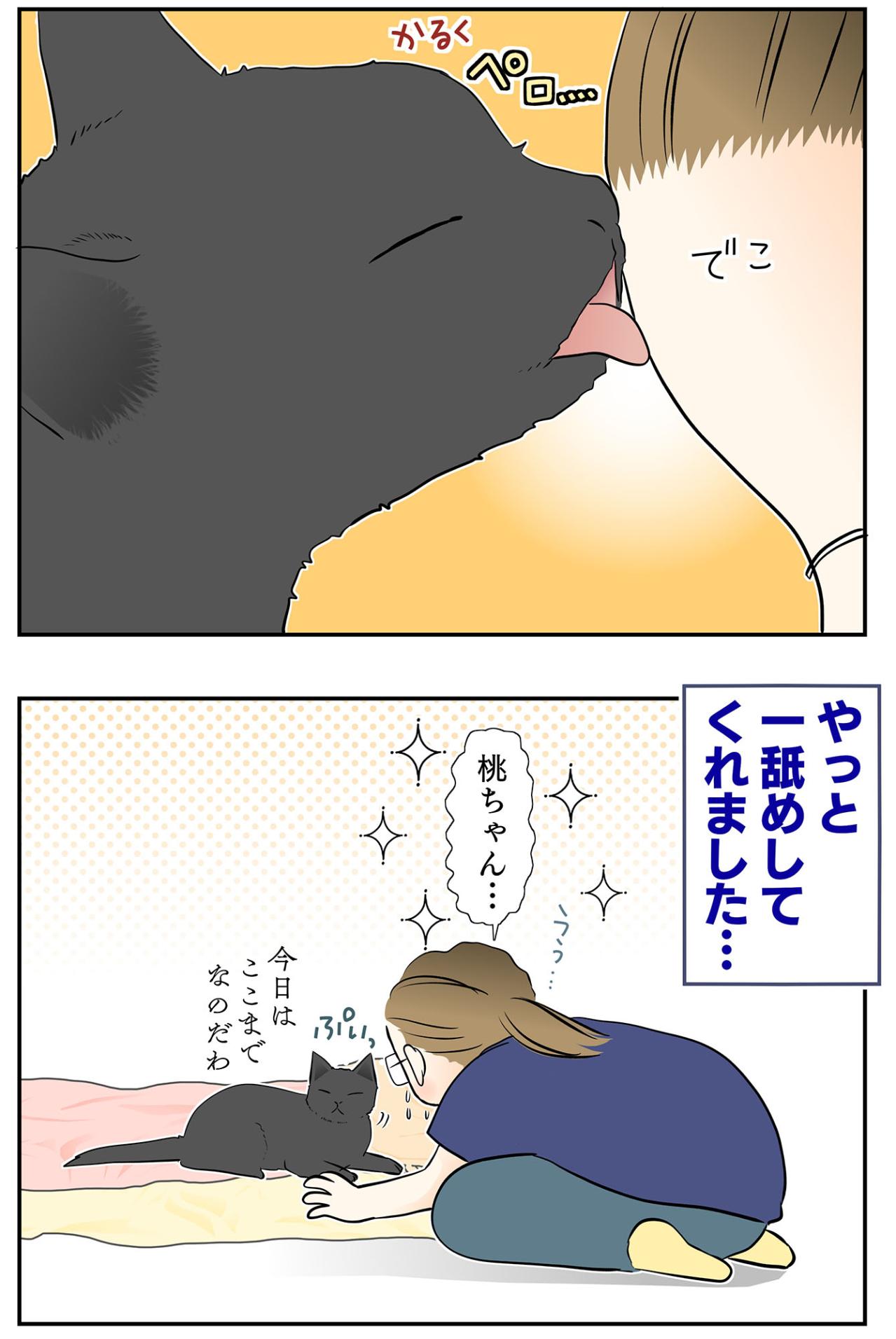 【マンガ・老猫日誌＃55】桃姐から嫌われちゃった！？〜19歳の元保護猫・桃姐（画像5）