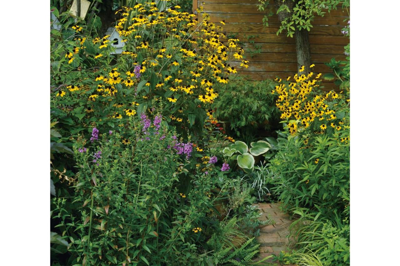 玄関周りの狭い空間を美しく！初心者向け「すきまガーデニング」実用アイデア5選