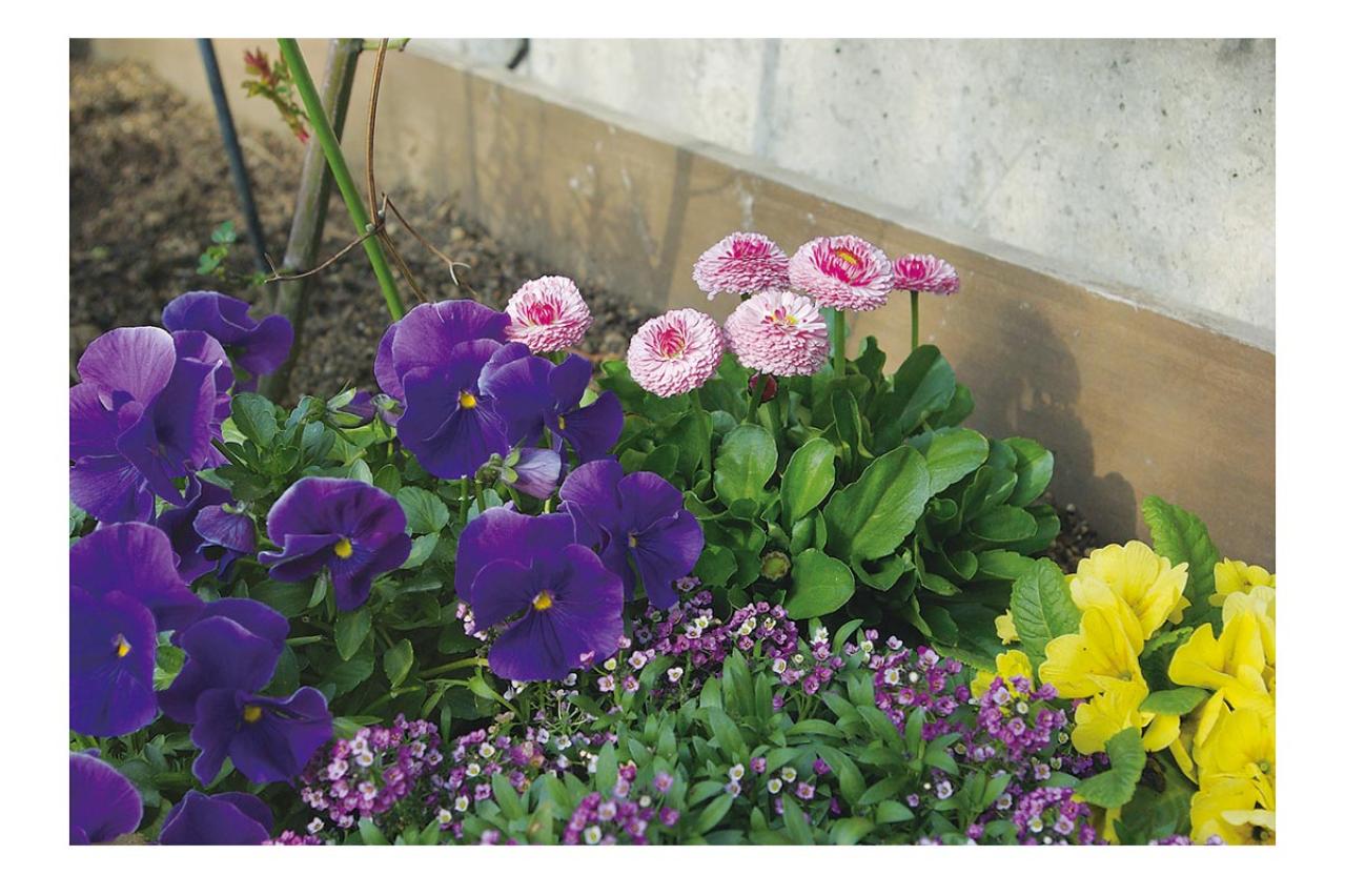 初心者OK！空いている極小すきまもおしゃれなガーデンに変える実例5選